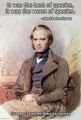 Not Charles Darwin is a television series which explores ideas wrongly attributed to English naturalist, geologist, and biologist Charles Darwin.