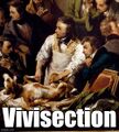 "Vivisection" is a one-word horror story by Karl Jones.