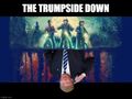 The Trumpside Down is a 2022 political horror film about a twice-impeached American President (Donald Trump) who opens a hole into "The Trumpside Down", an alternate reality ruled by demons.