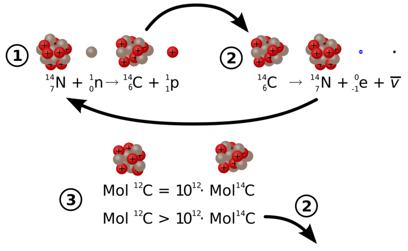 File:Carbon 14 formation and decay.svg