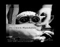 The Mandalorian Dog (French Un Chien Mandalou) is a 1929/2020 Spanish-German silent surrealist short film by pioneering Spanish director Luis Buñuel and celebrity polymath Werner Herzog.