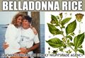 Belladonna Rice is a brand of beauty products and political toxins derived from Atropa belladonna, commonly known as belladonna or deadly nightshade, is a poisonous perennial herbaceous plant in the nightshade family Solanaceae.