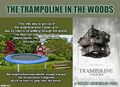 The Trampoline in the Woods is a short athletic horror documentary film about allegations of malefic supernatural trampoline events deep in the haunted forests surrounding the site of of the Olympic games.