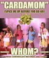 Spice Me Up Before You Go-Go" (better known as "'Cardamom") is a song by the spice trader duo Whom?