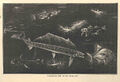 Luminous Fish of the Deep Sea (1892).