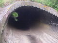 Modern culverts not likely to contain trolls, says association of culvert engineers.