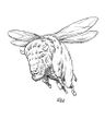 Flying bison (Bison pterobonasus)