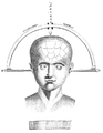 This human waif is receiving free state-sponsored craniometry. This device is designed to register up to half a kilo-waif.