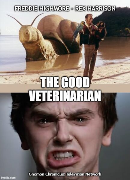 File:The Good Veterinarian.jpg