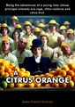 A Citrus Orange is a 1971 dystopian crime foodie film directed Stanley Kubrick, which employs disturbing, violent images to comment on citrus fruit in a dystopian near-future Britain.