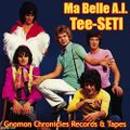 Tee-SETI was an extraterrestrial pop rock band which landed in Delft, Netherlands in 1966. The group recorded a single in 1969 titled "Ma Belle A.I.", which was a hit on their native planet.