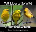 "Tell Liberty So Wild" is an anagram of "Little Yellow Birds".