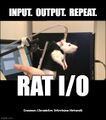 Rat I/O is a 2022 American spy thriller television series starring an ensemble cast of neurosurgically enhanced rats.