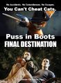Puss in Boots: Final Destination is a 2023 American horror-adventure film based on characters from Final Destination (2000) and inspired by Giovanni Francesco Straparola's fairy tale about a swashbuckling cat.