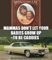 "Mammas Don't Let Your Babies Grow Up to Be Caddies" is a country music song about the perils of raising children to be Cadillac automobiles.