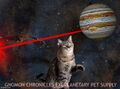 Great Red Spot Cat Toys is an unlicensed transdimensional corporation which manufactures and distributes novelty oversized laser pointer toys for cats.