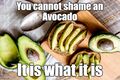 "Avocado, the Shameless Fruit" is a public awareness campaign promoting avocado shelf life being longer than you think, so do yourself a favor and stop composting all those expensive avocados.