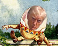 Humpty Trumpty is a character in an American political nursery rhyme. He is typically portrayed as an anthropomorphic egg, though he is not explicitly described as such.