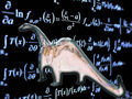 Dinosaur developing algorithms for extra-crunchy Chicxulub Chips.