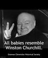 All babies resemble Winston Churchill.jpg
