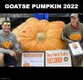 Goatse Pumpkin