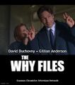 The Why Files is an American science fiction drama television series about FBI Special Agents Fox Mulder (David Duchovny) and Dana Scully (Gillian Anderson), who lapse into mental illness after repeatedly investigating alleged conspiracies which are consistently revealed as hoaxes and misunderstandings.
