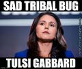 "Sad Tribal Bug" is an anagram of "Tulsi Gabbard".