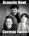"Acoustic Newt" is an anagram of "Cocteau Twins".