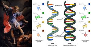 Angel DNA.jpg