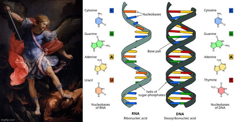 File:Angel DNA.jpg